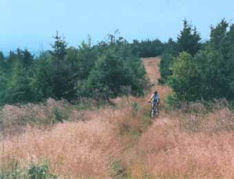 Biking